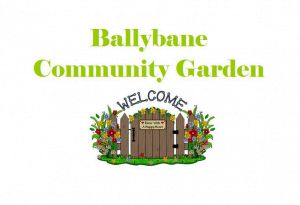 Ballybane Community Garden